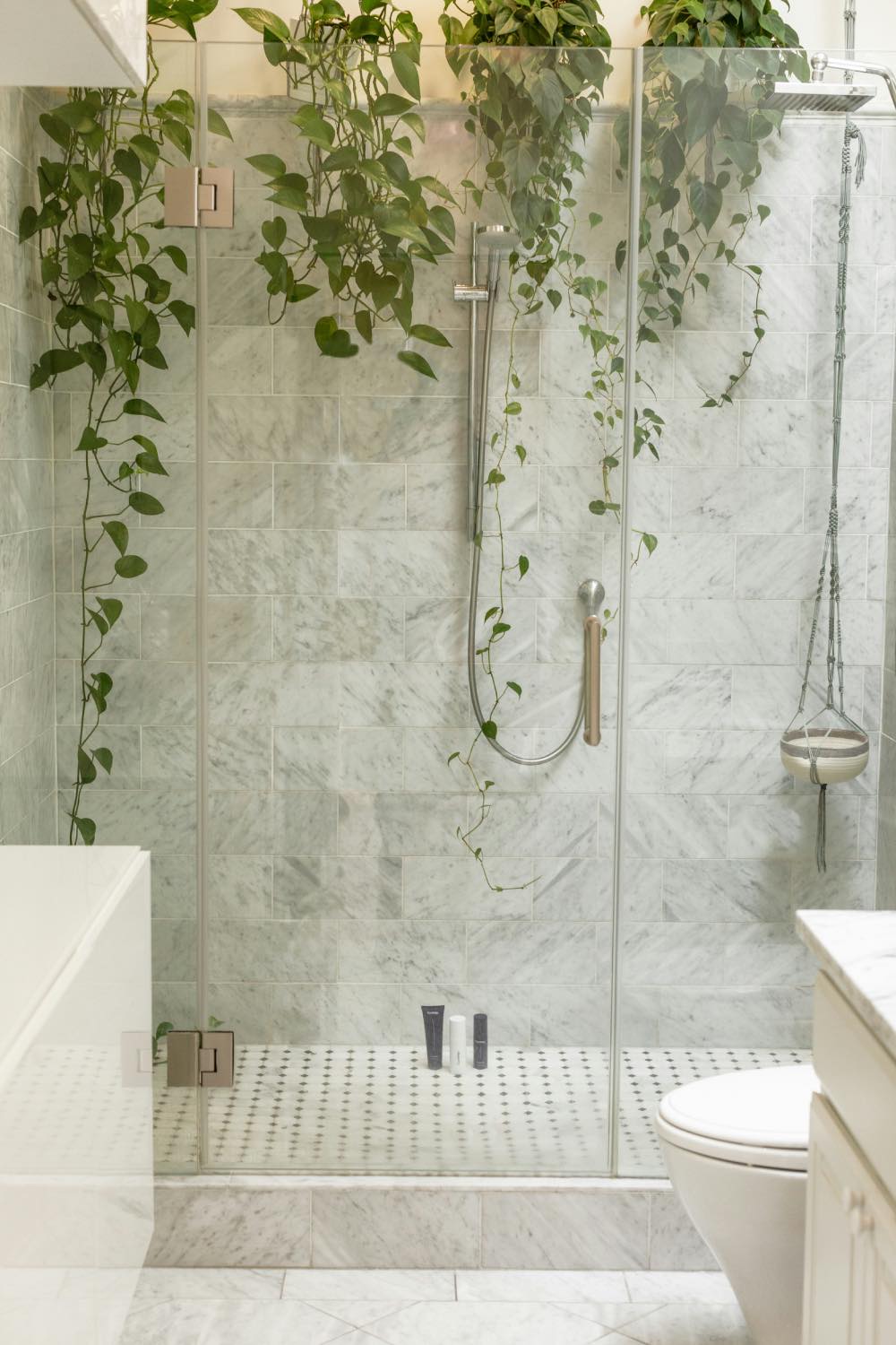 plantas de interior para el cuarto de baño, decoración con plantas, pothos