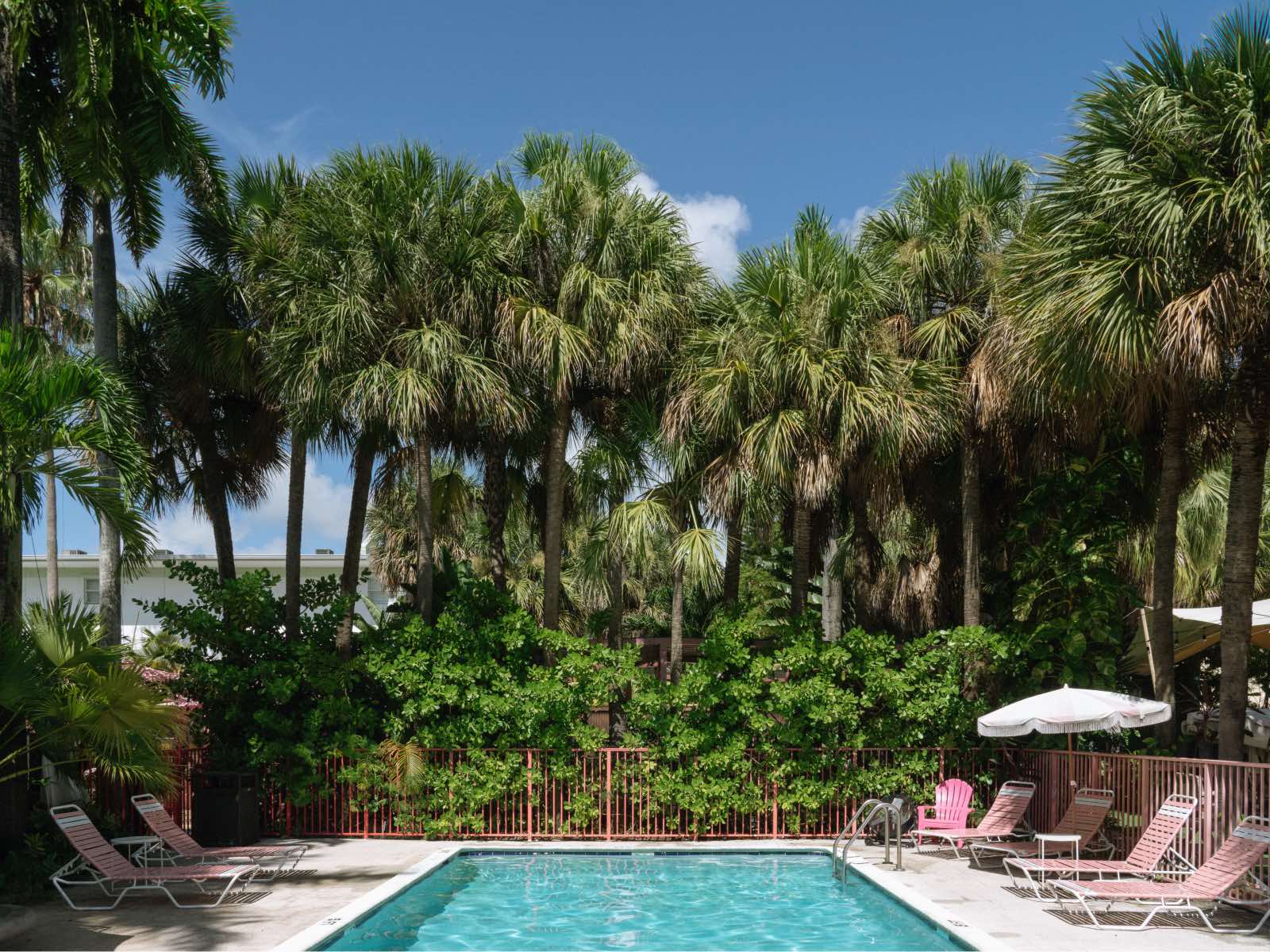 Miami River Inn, location of Alcova-Miami 2024. hotel swimming pool