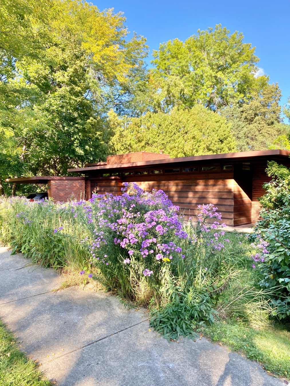 obras de Frank Lloyd Wright: Herbert and Katherine Jacobs House,