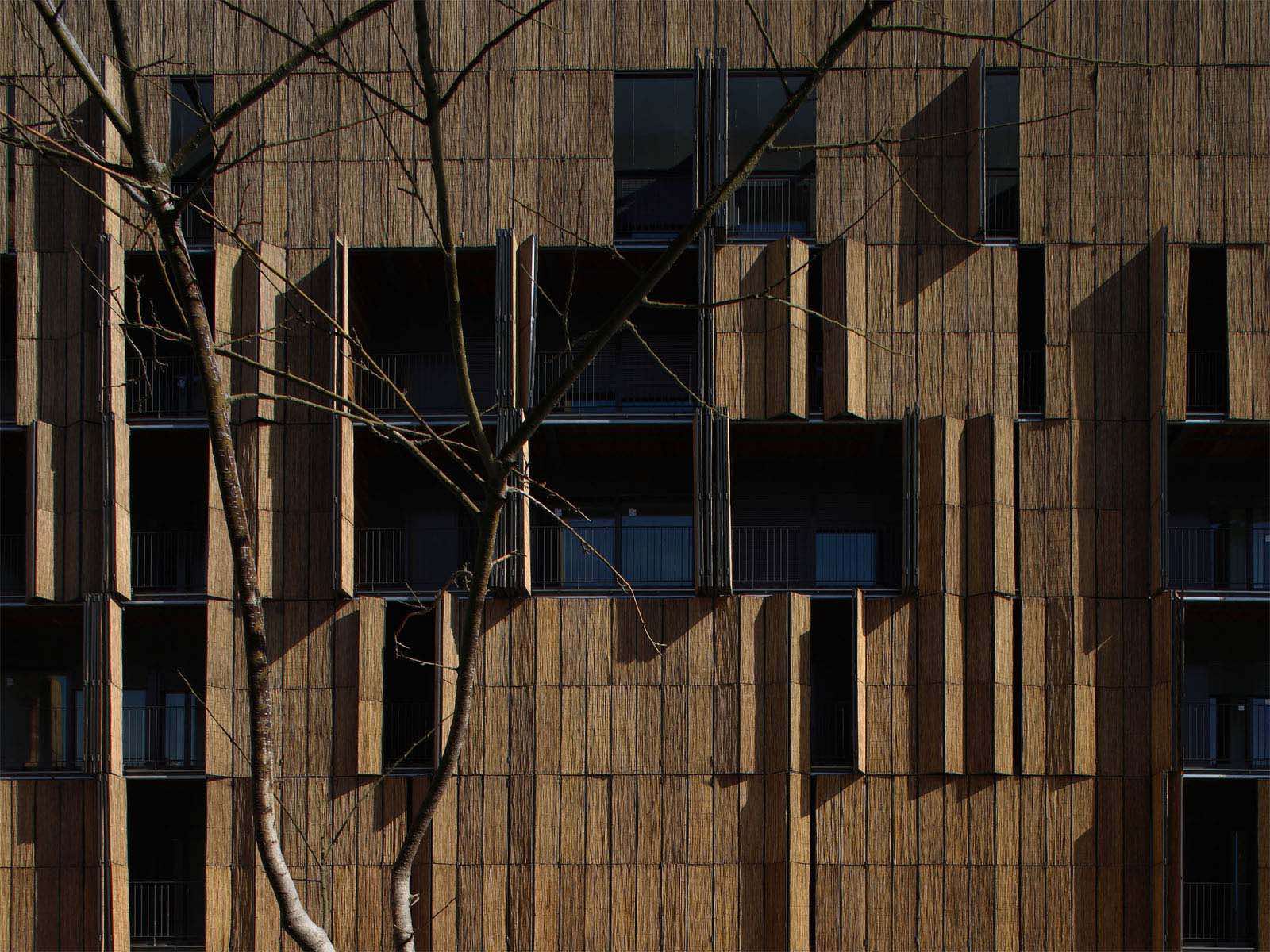 Arquitectos famosos españoles. Alejandro Zaera Polo: Casa de Bambú en Madrid.