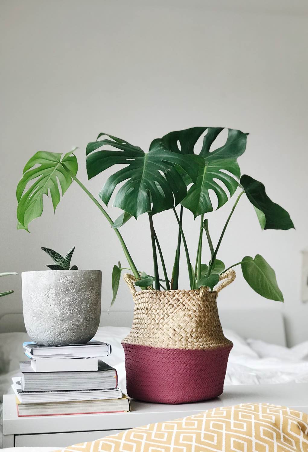 decoración relajante con plantas