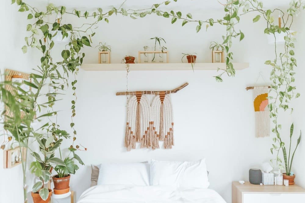 quarto com plantas suspensas 