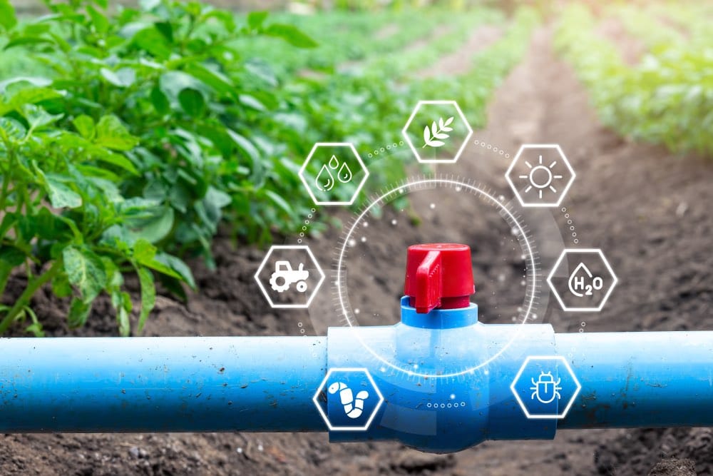  Intelligente Bewässerungssysteme