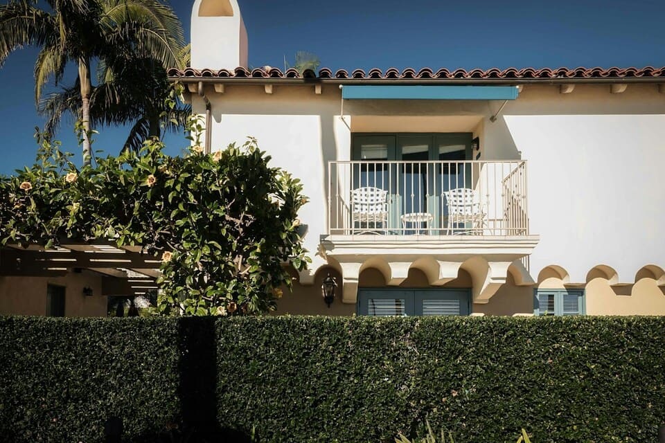 plantes pour le devant d’un mur