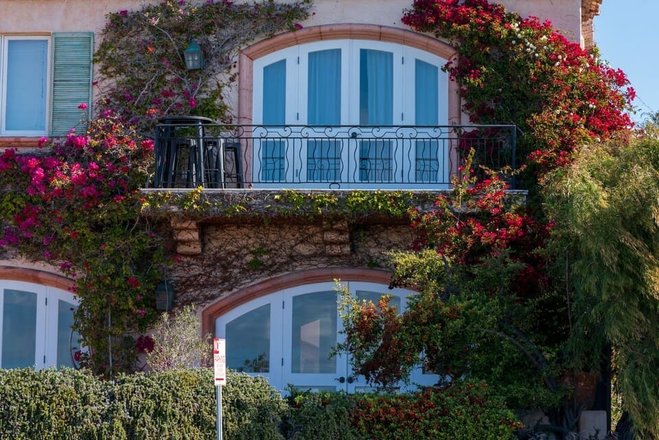 des fleurs en façade