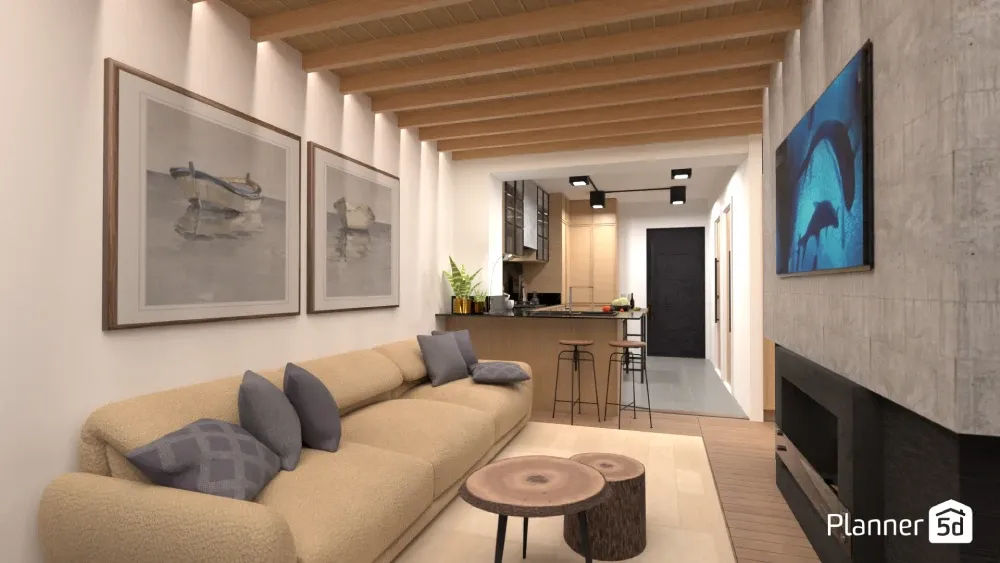 Small apartment design with combined living room and kitchen