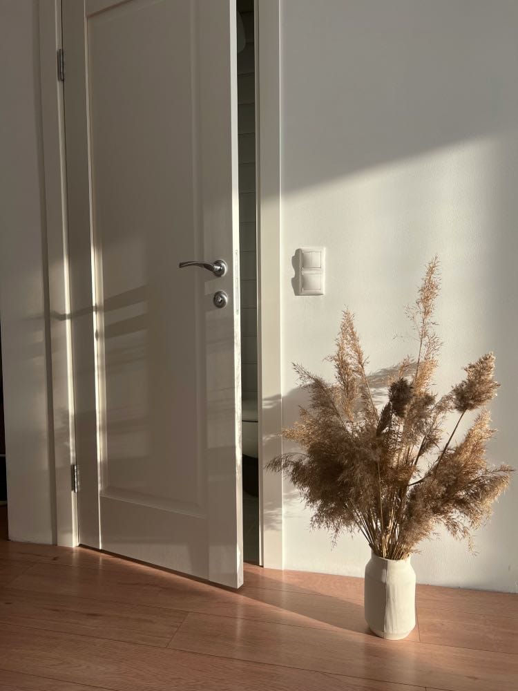 puerta interior blanca, puertas de casa