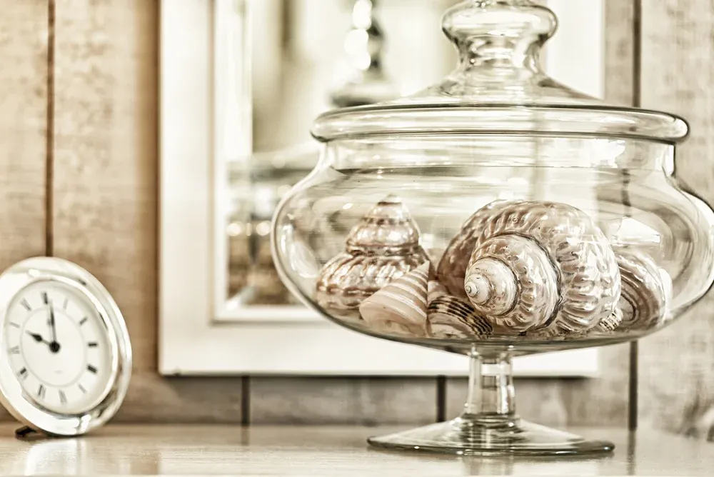 glass vase with seashells 