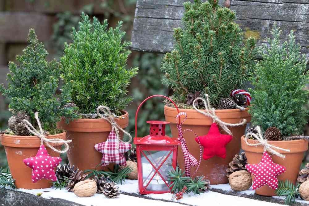 decoração de Natal no jardim