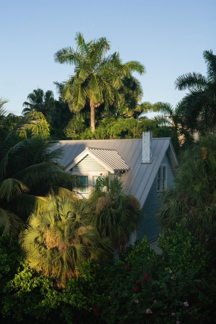 alcova miami 2025, diseño de interiores emergente, arte contemporaneo