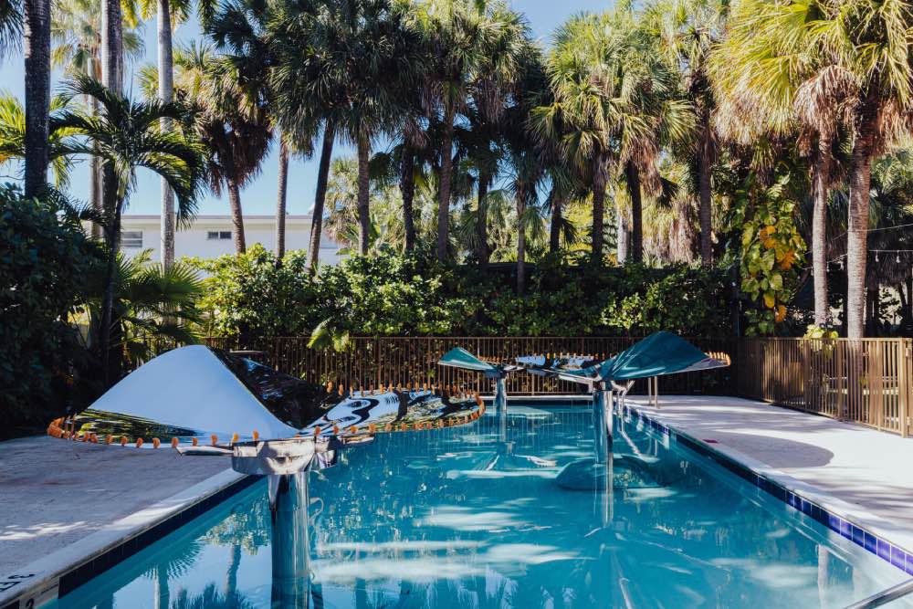 alcova miami 2025, diseño de interiores emergente, arte contemporaneo