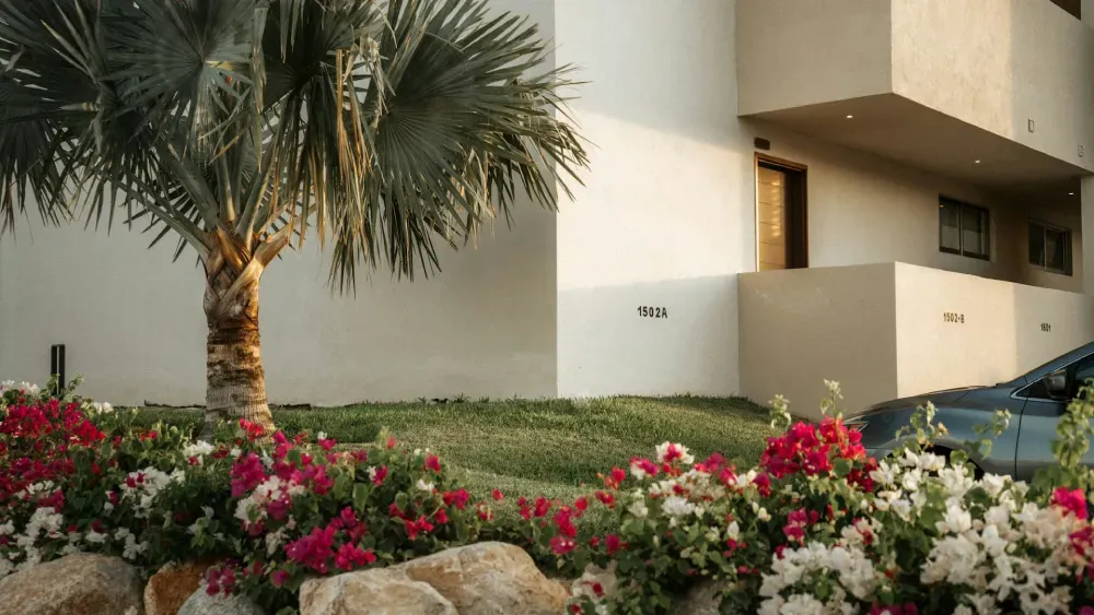 jardim na frente de casa com plantas em alturas e cores diferentes