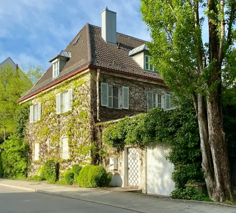 Plantas para muro de jardim, casa com plantas trepadeiras no muro