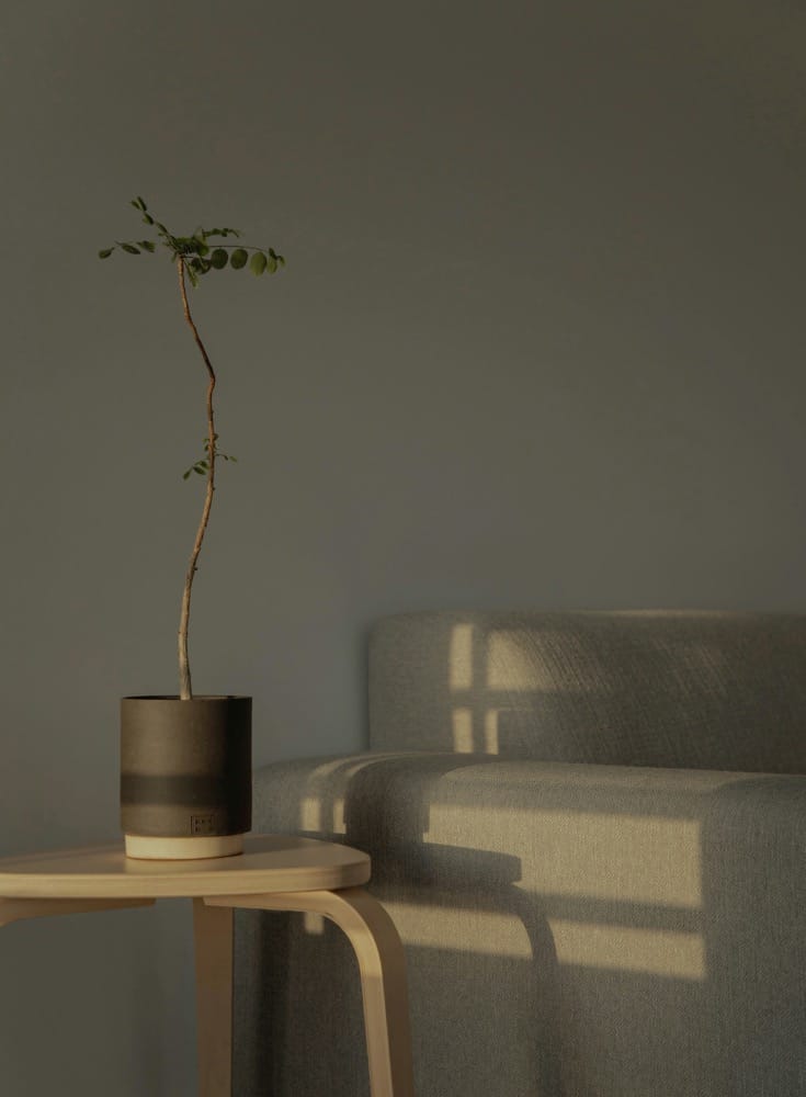 decoración de sstilo minimalista. minimalismo vs. maximalismo