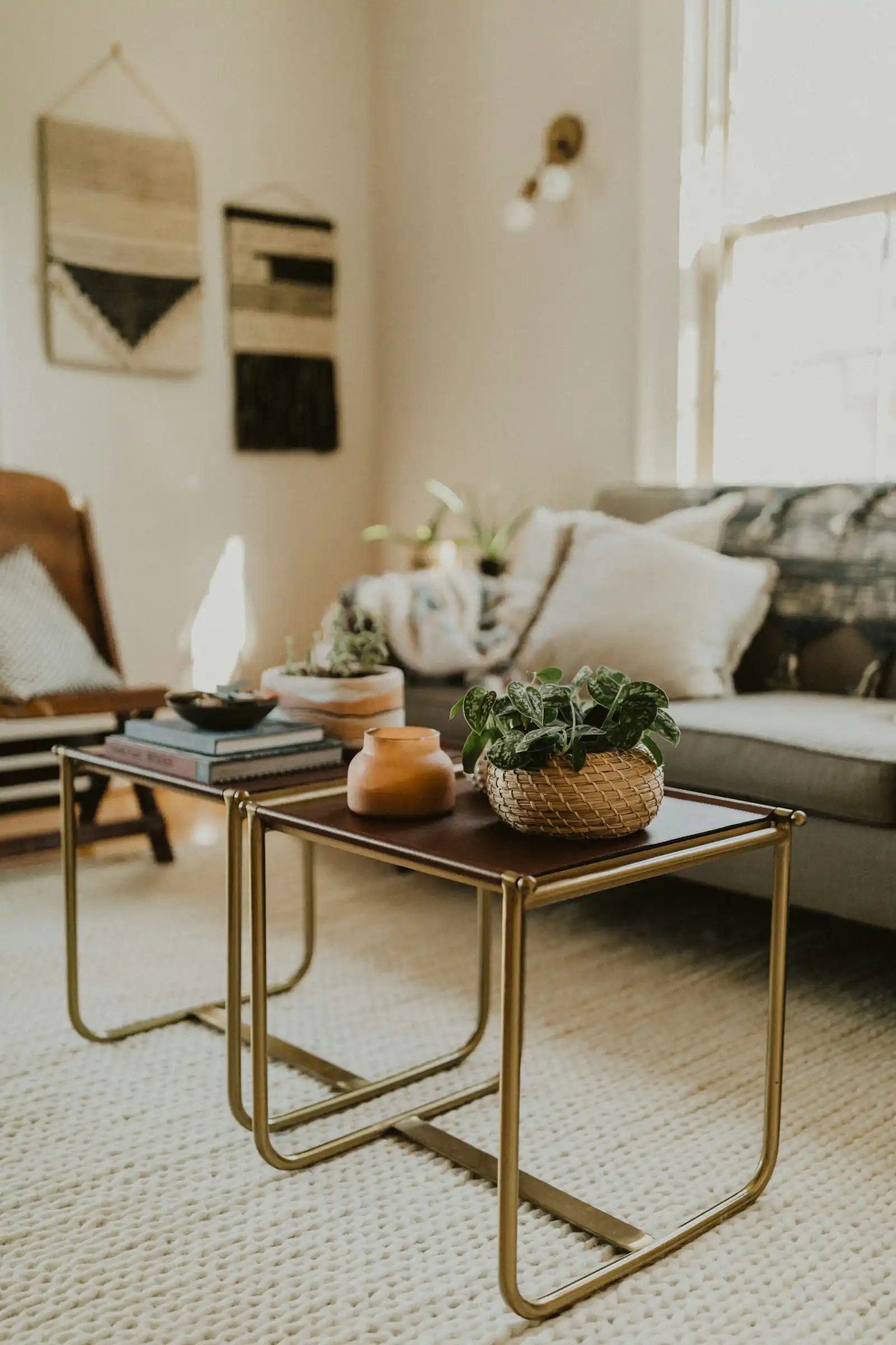deux petites tables basses avec des plantes et des livres dans un salon moderne