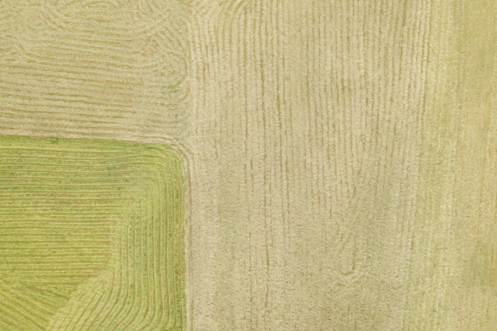 Cómo combinar colores vivos en tu hogar