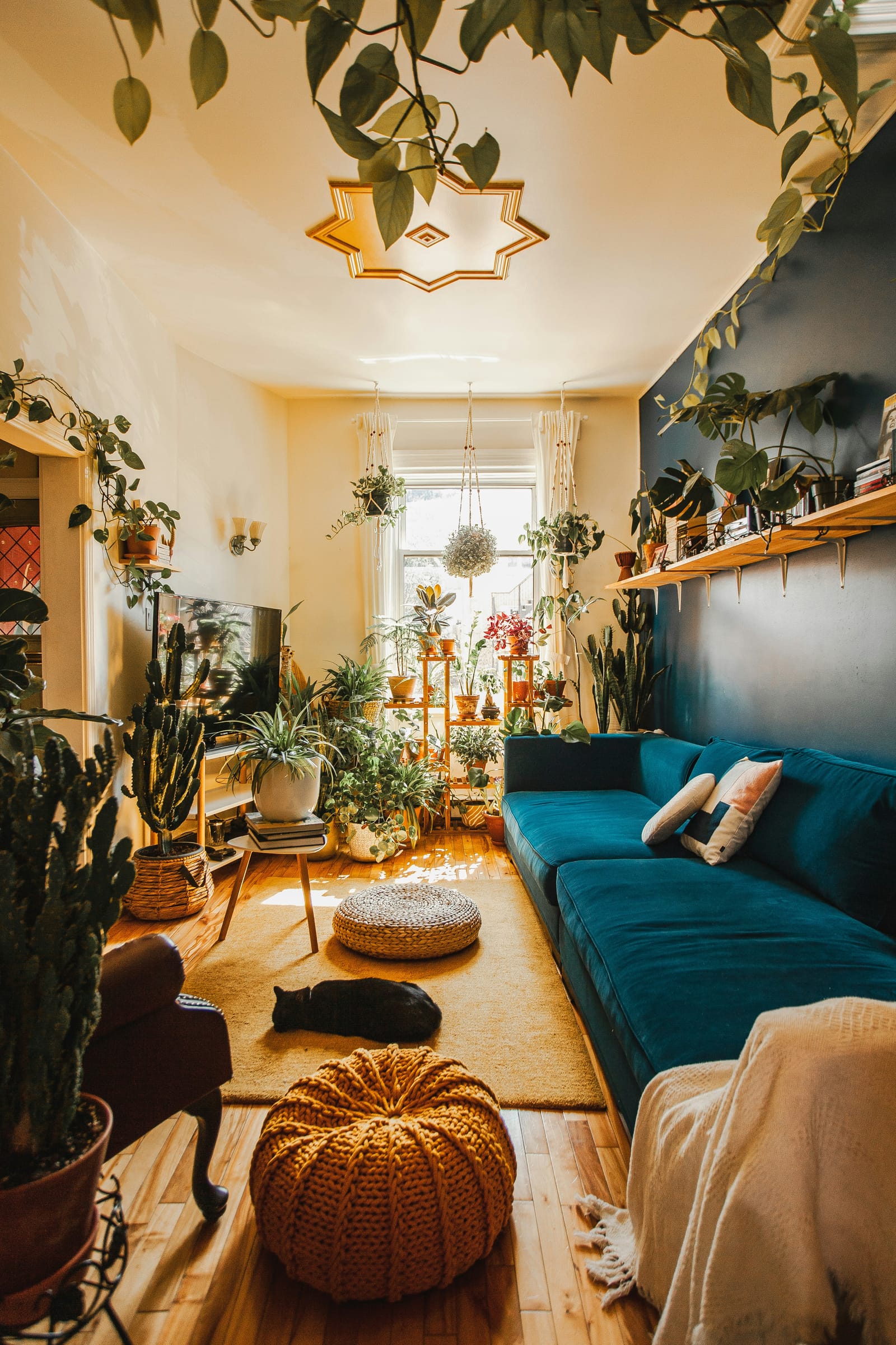 21 idées pour dynamiser votre salon avec style | Planner 5D