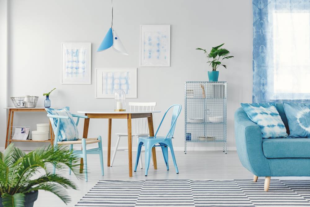 Blue chairs at dining table against white wall with gallery in flat interior with plants and sofa on patterned carpet