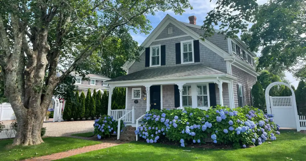 front yard of a home with hydrangeas 