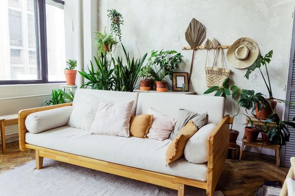 Light sofa with pillows against a gray wall and many pots of green plants behind the sofa
