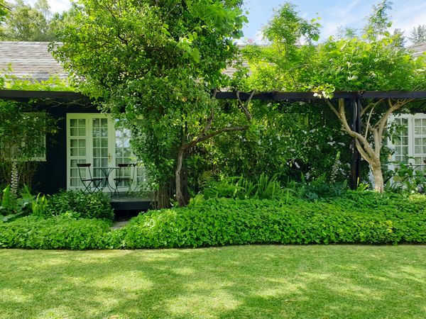 casa con jardín verde pequeño, diseño de jardines pequeños, vegetación