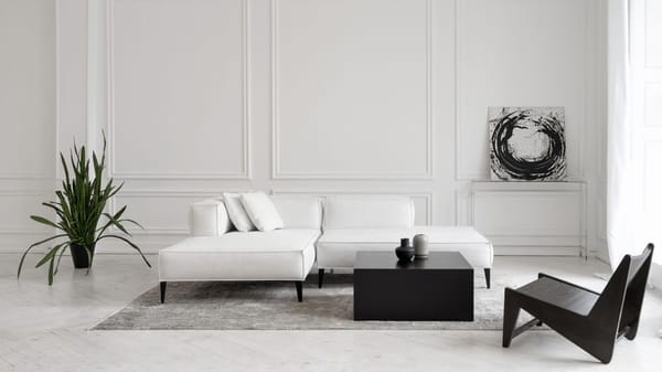 salon minimaloiste blanc et noir avec un canapé blanc, une plante et un tableau