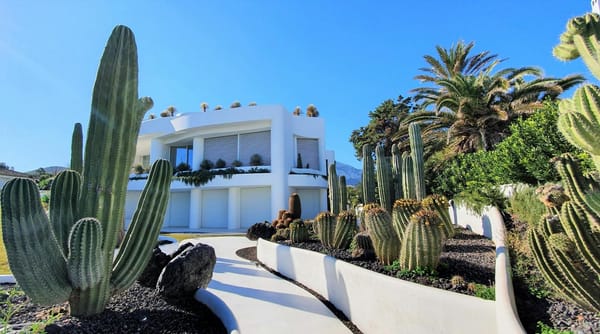 diseño de jardín en casa moderna con cactus en terrazas