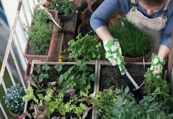 eine Frau mit blumengemusterten Handschuhen, die sich um ihre Pflanzen kümmert