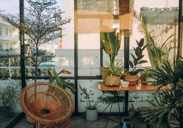 secretos de cuidado de plantas- terraza con sillón y vegetación en maceteros