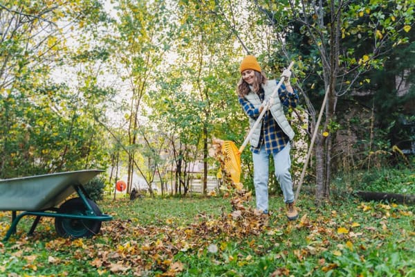 Comment préparer votre jardin pour l'hiver