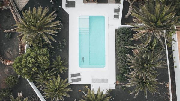 villa amonita, casa moderna con piscina en lanzarote, jardín con palmeras